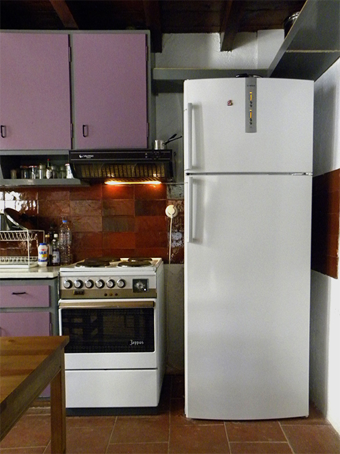 The kitchen with electric cooker and fridge