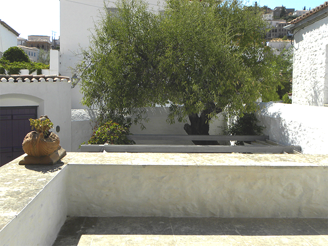 The almond tree viewed from the first floor terrace